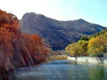 澳门天天彩期期精准平肖，王祖贤 林建岳